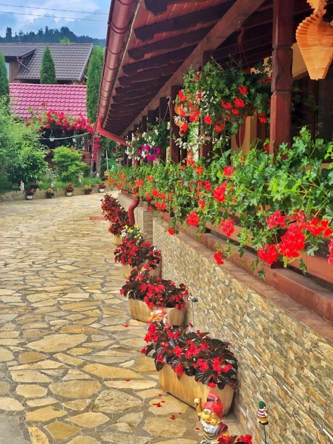 Casa Boico Hotel Gura Humorului Bagian luar foto